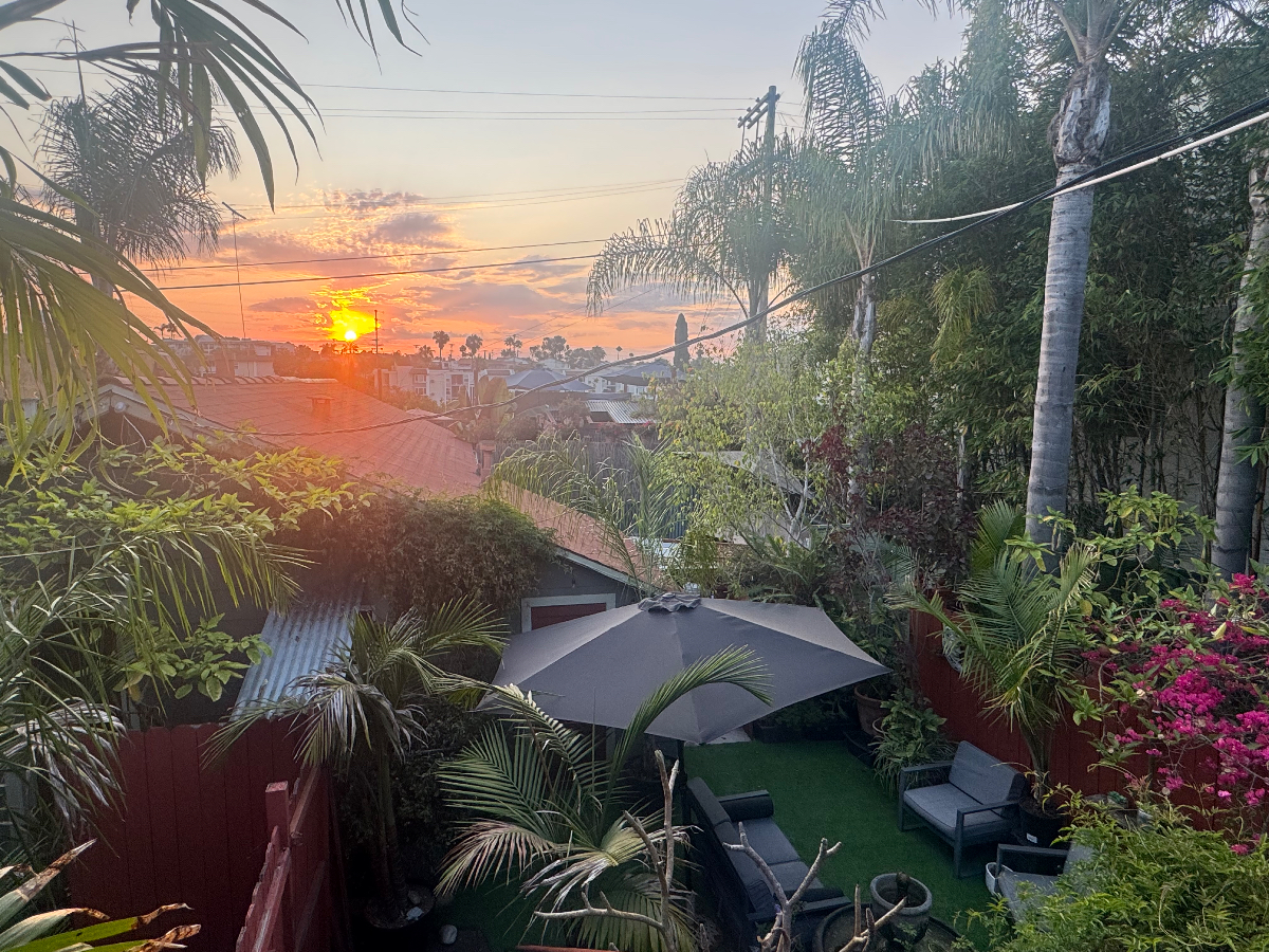Tropical Oasis in North Park - Photo 4