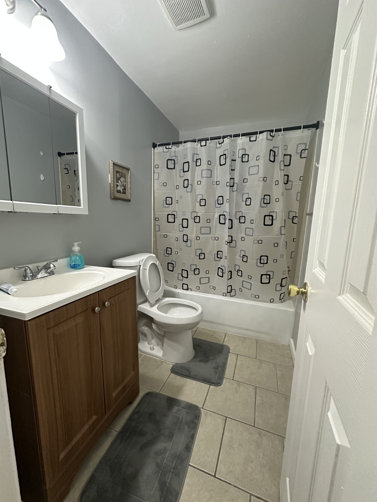 Private Bedroom in North Michigan Park - Photo 5