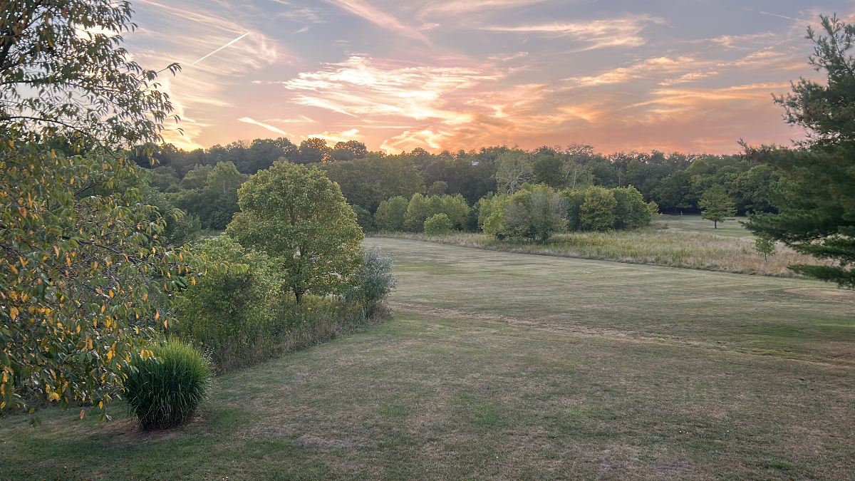 Quiet, Private Furnished  Basement Suite with Sunset and Nature Views - Photo 2