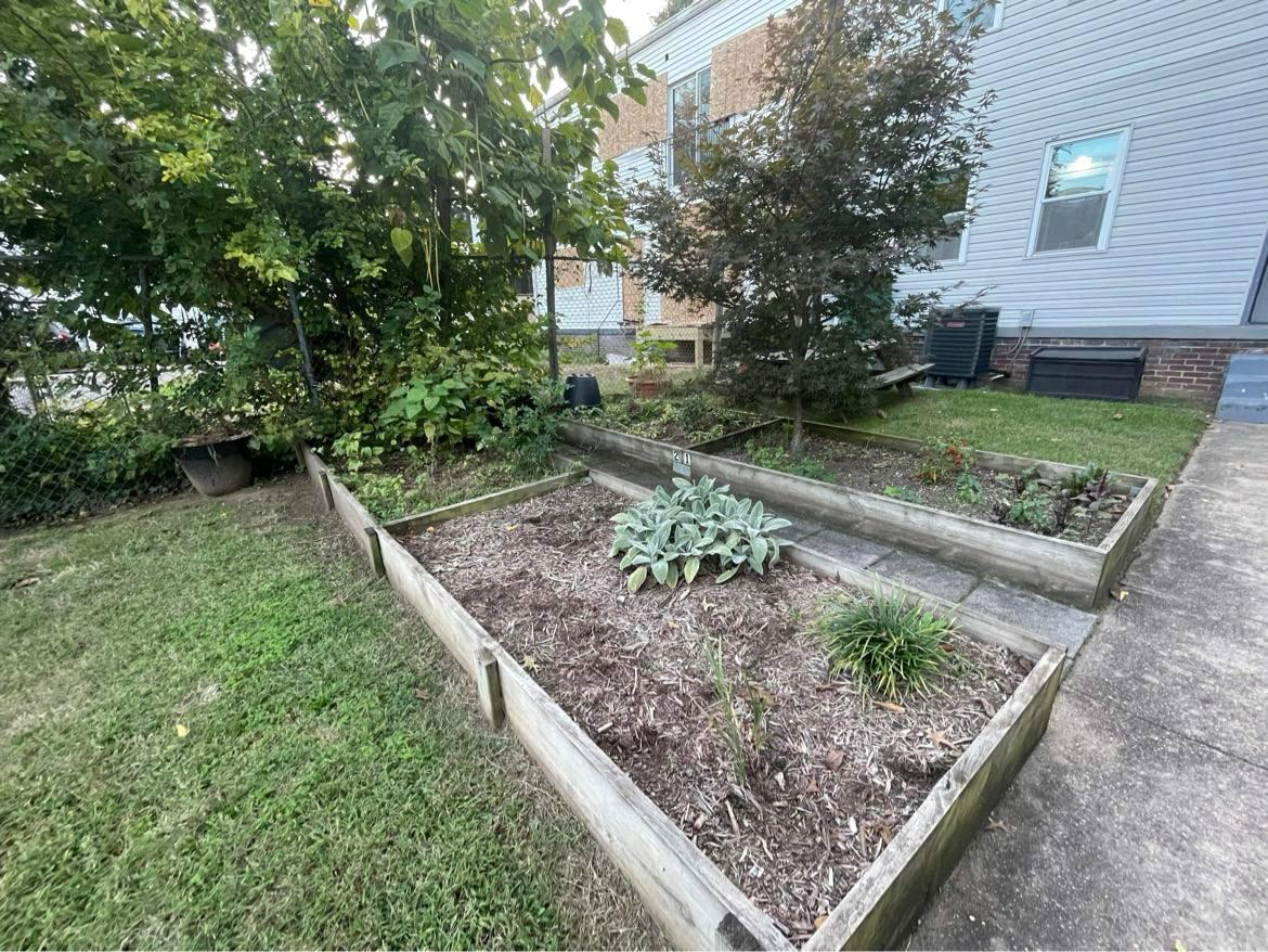 2-Bed Apmt in Brookland, DC on Red Metro Line - Photo 7