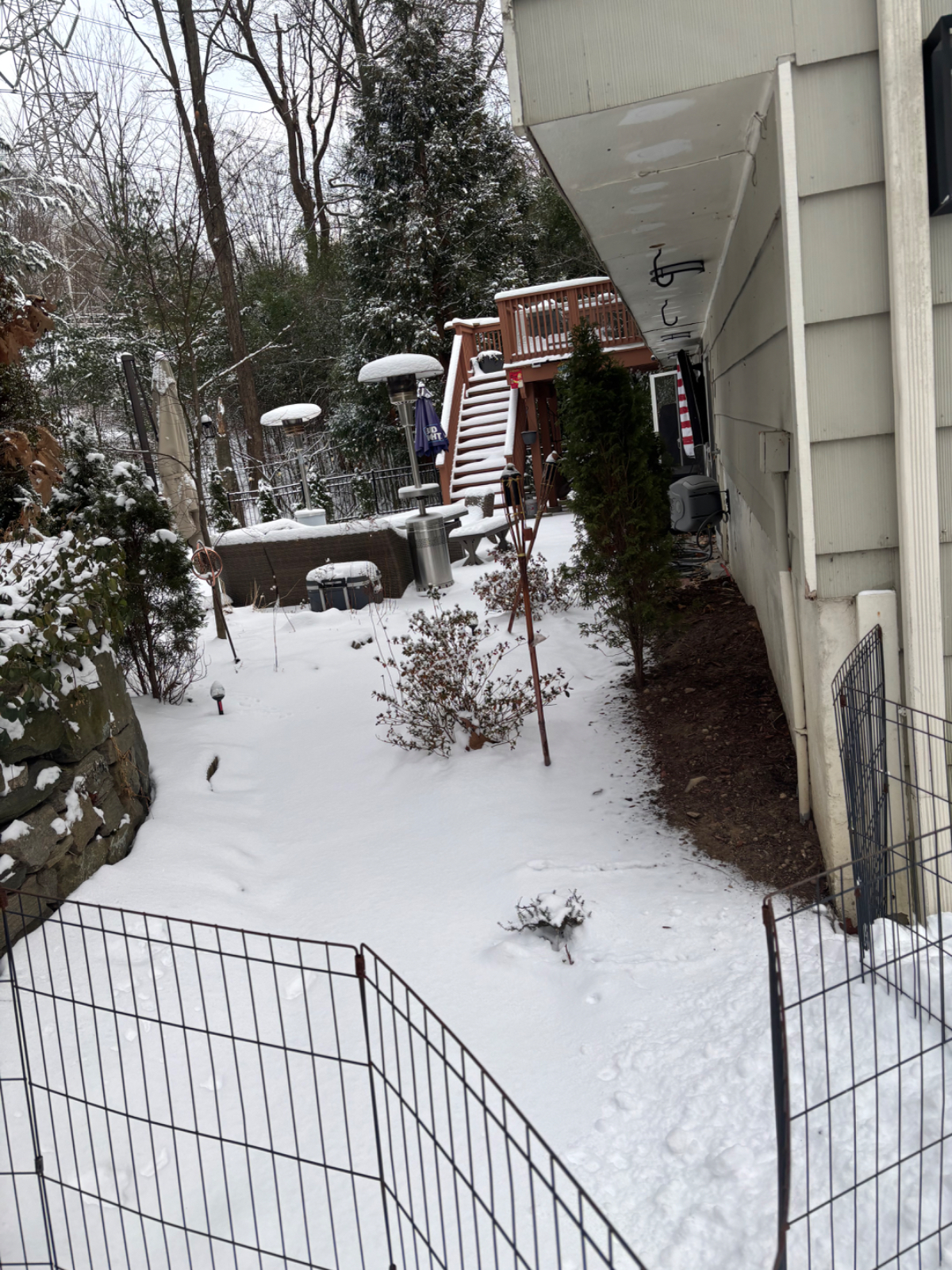Town of ardsley room for rent - Photo 2
