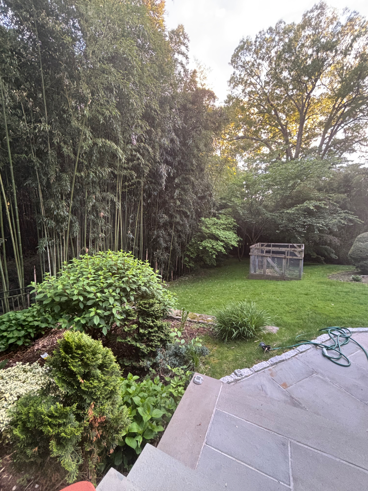 Town of ardsley room for rent - Photo 3