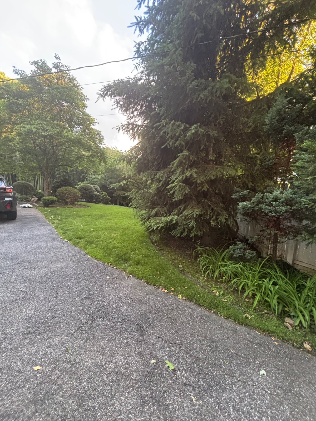 Town of ardsley room for rent - Photo 4