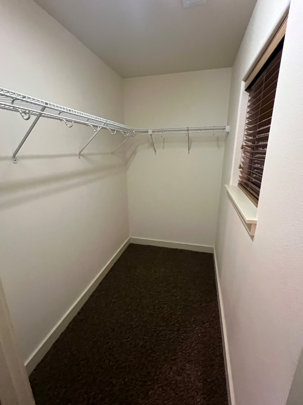Cozy, Private Furnished ADU - Photo 5