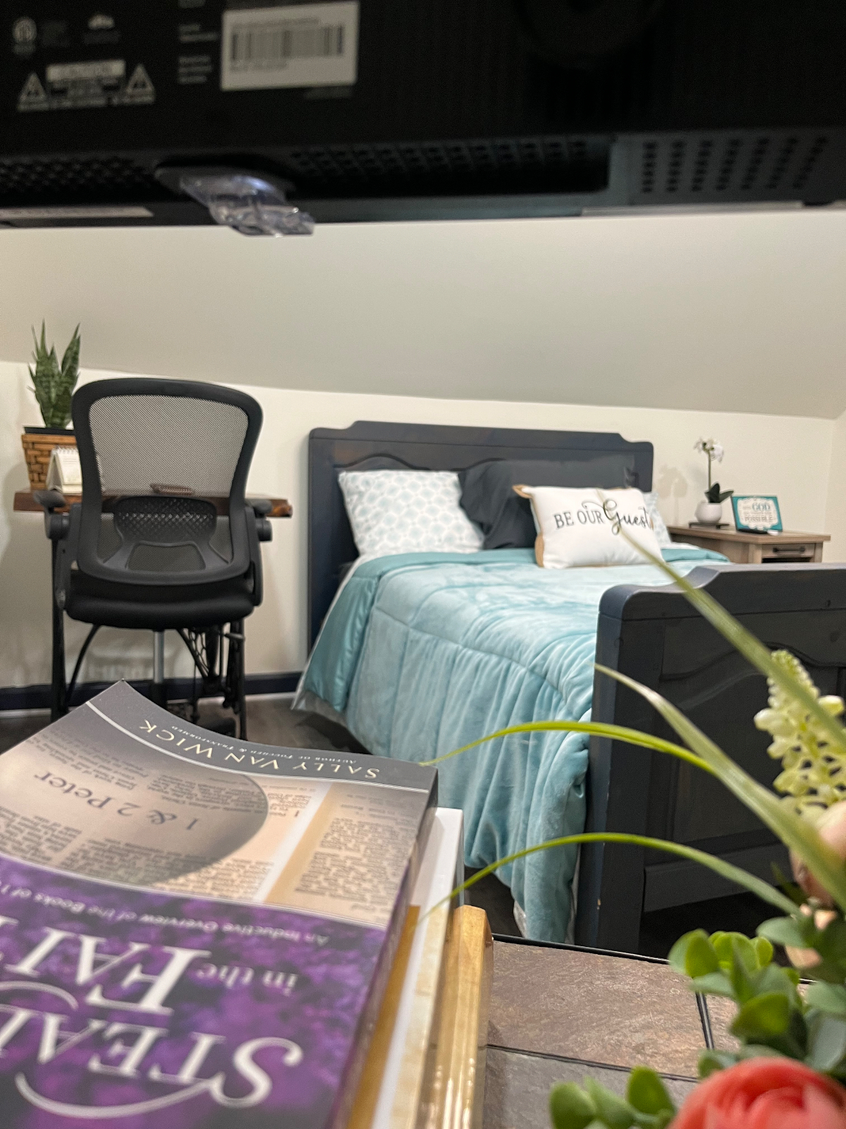 Lower Suite - Photo 8