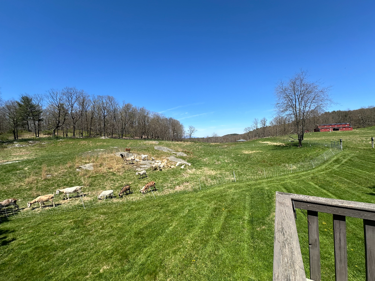 Rhinebeck Country Cottage  with great views - Photo 8