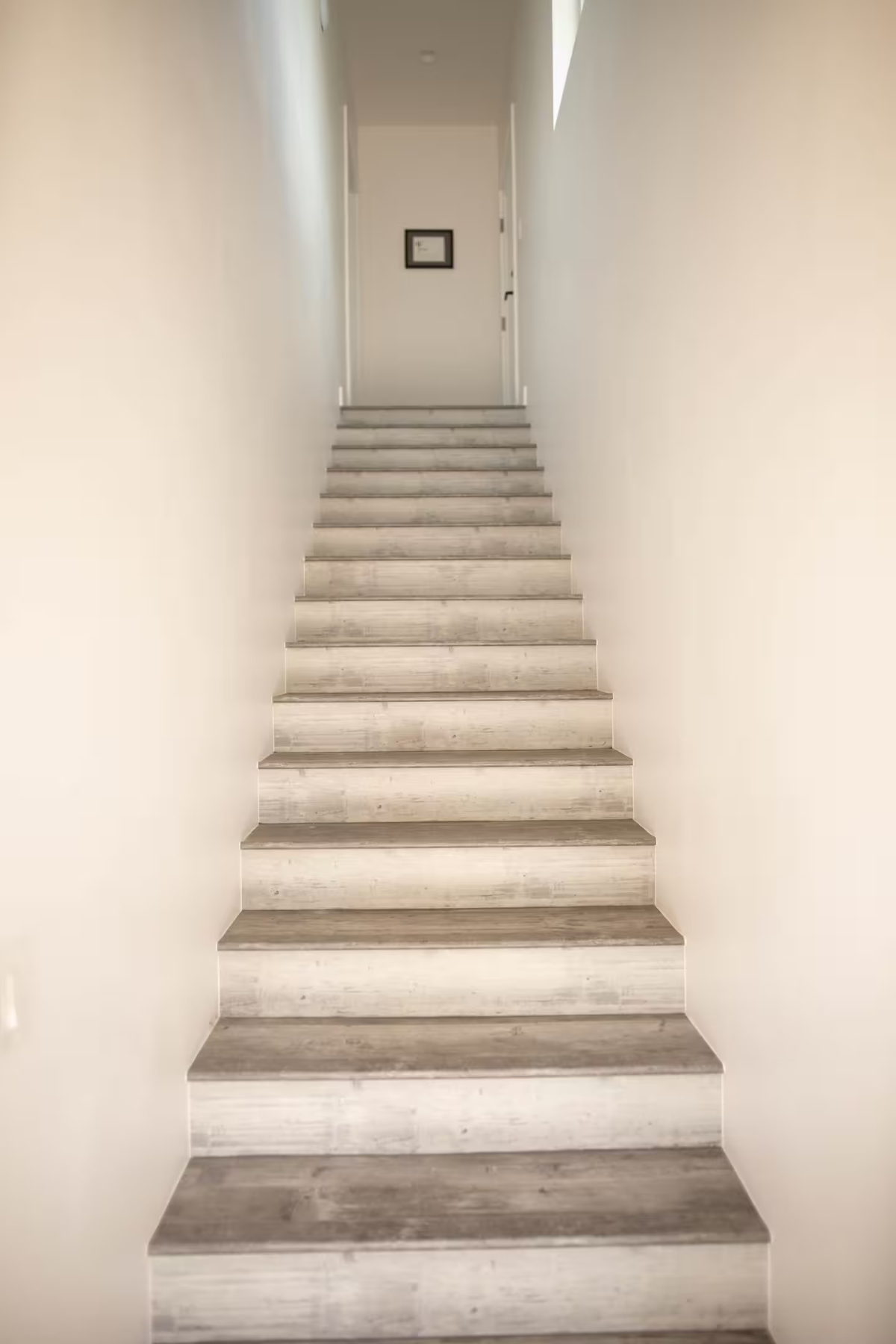Modern 1 bedroom/1 bath Neighborhood Gem - Photo 3