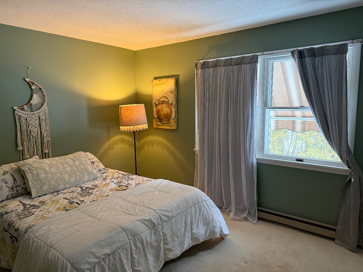 Fully Furnished Beautiful Montpelier Townhouse - Photo 4
