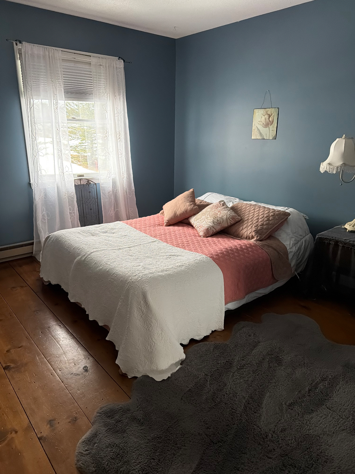 Fully Furnished Beautiful Montpelier Townhouse - Photo 5
