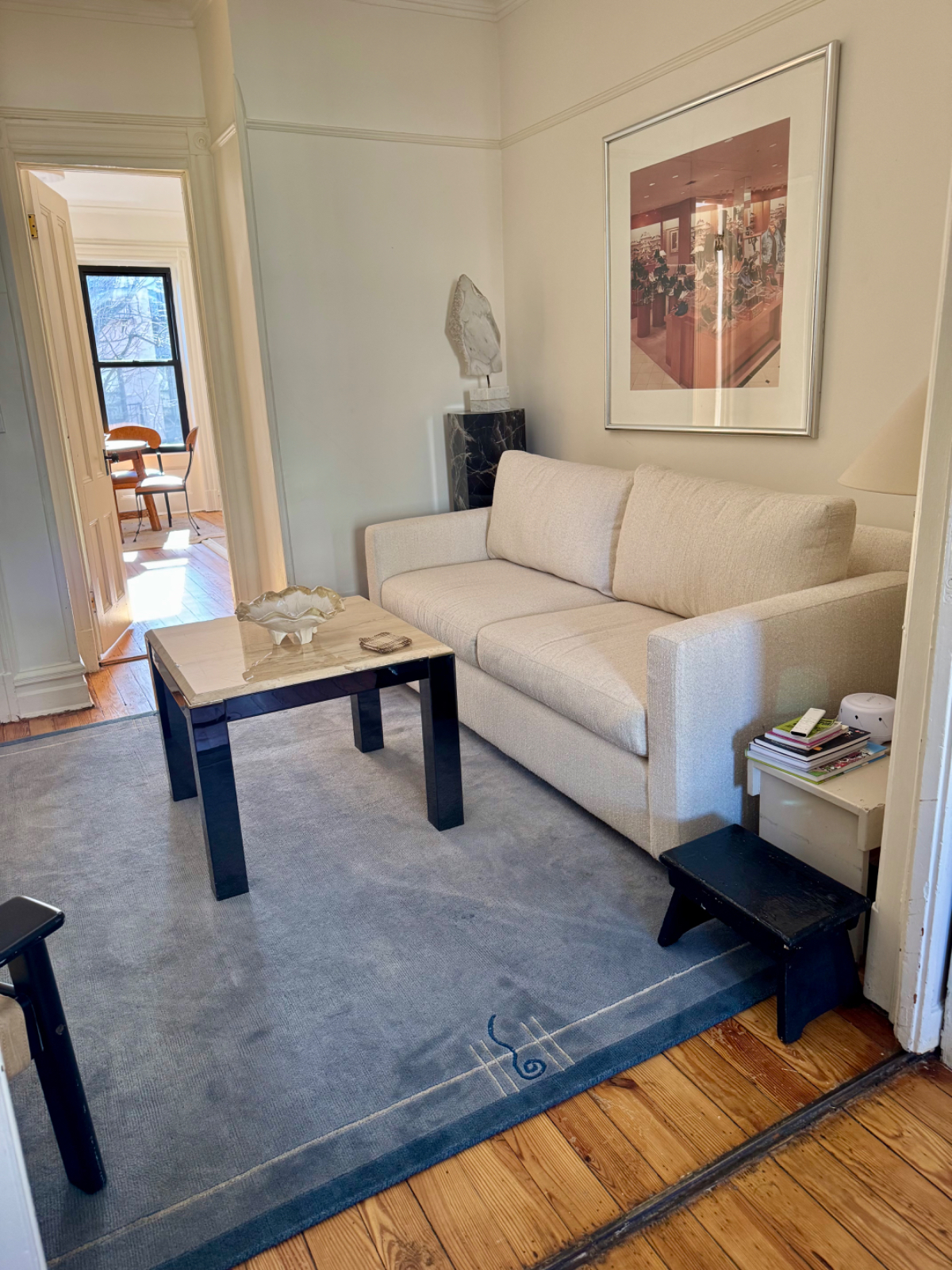 Quiet Furnished Brooklyn Guest Suite/ Sleeps 5/ Medical Professionals - Photo 2