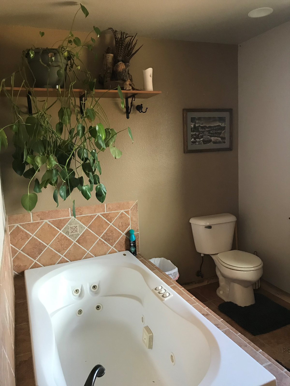 Rustic Home in Quiet Neighborhood - Photo 8