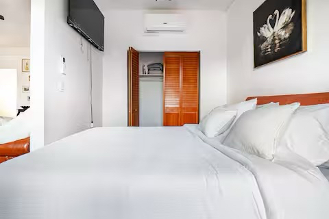 Cozy Historic Luxury Landmark Brownstone Apartment - Photo 10