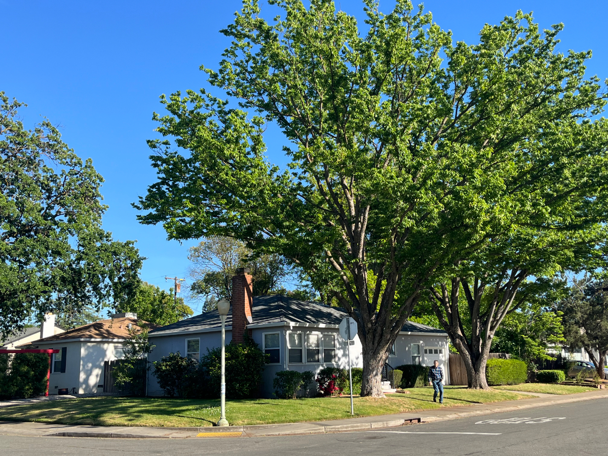 Inviting Single-Story Home with Large Fenced Backyard, Utilities Included, Near Tahoe Park & UC Davis Medical Center - Photo 5