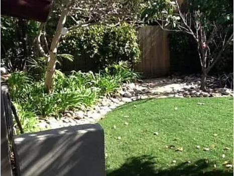 Beautiful Casita with Backyard in Leucadia - Photo 5