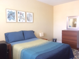 Bright and Sunny Fully-Furnished Bedroom in Great Petworth Townhouse - Photo 5