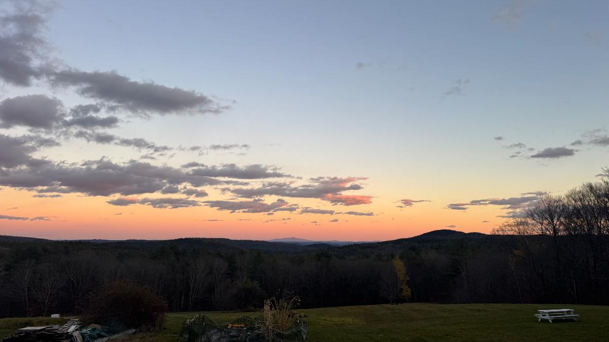 Cozy Mountain View Tiny Home - Photo 5
