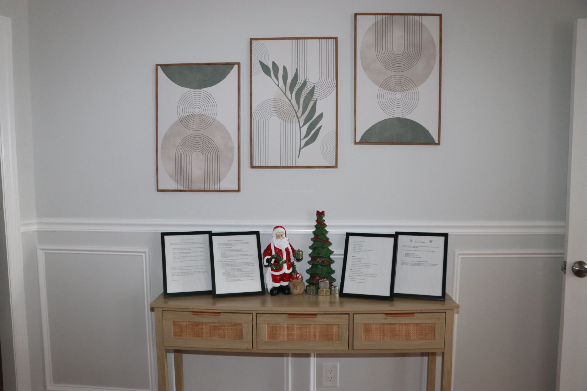 Beautiful and Elegant 2 Bedroom Apartment in the heart of Uniondale - Photo 8