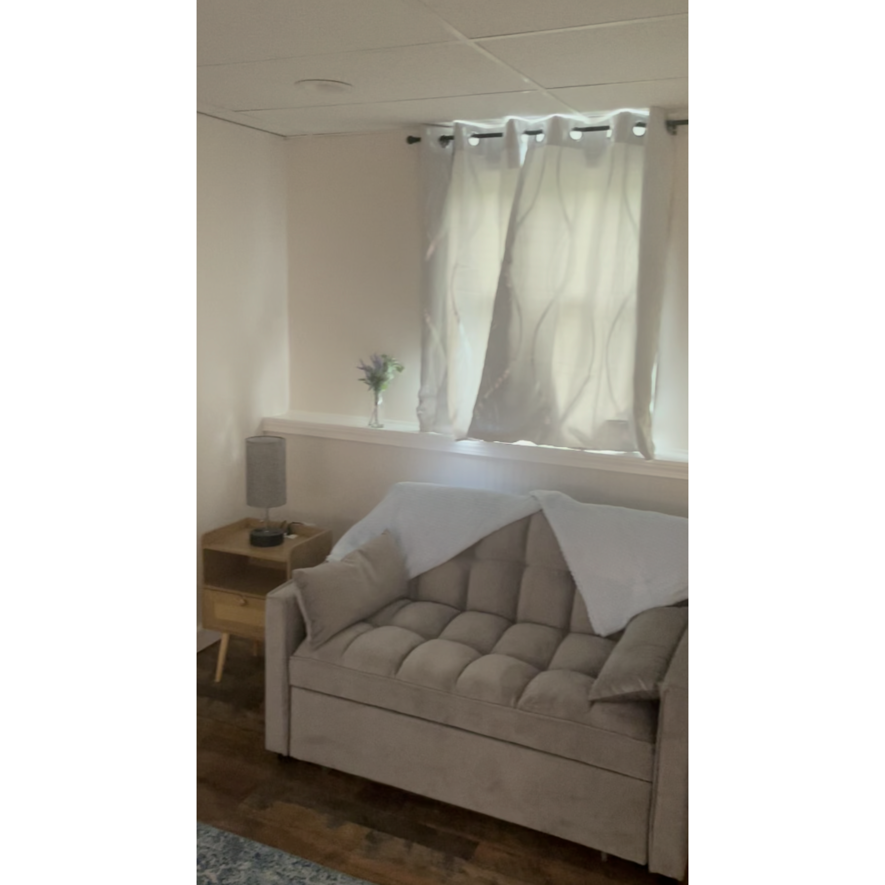 Furnished Private Two Bedroom Apartment Near Major Hospitals and Universities - Photo 8