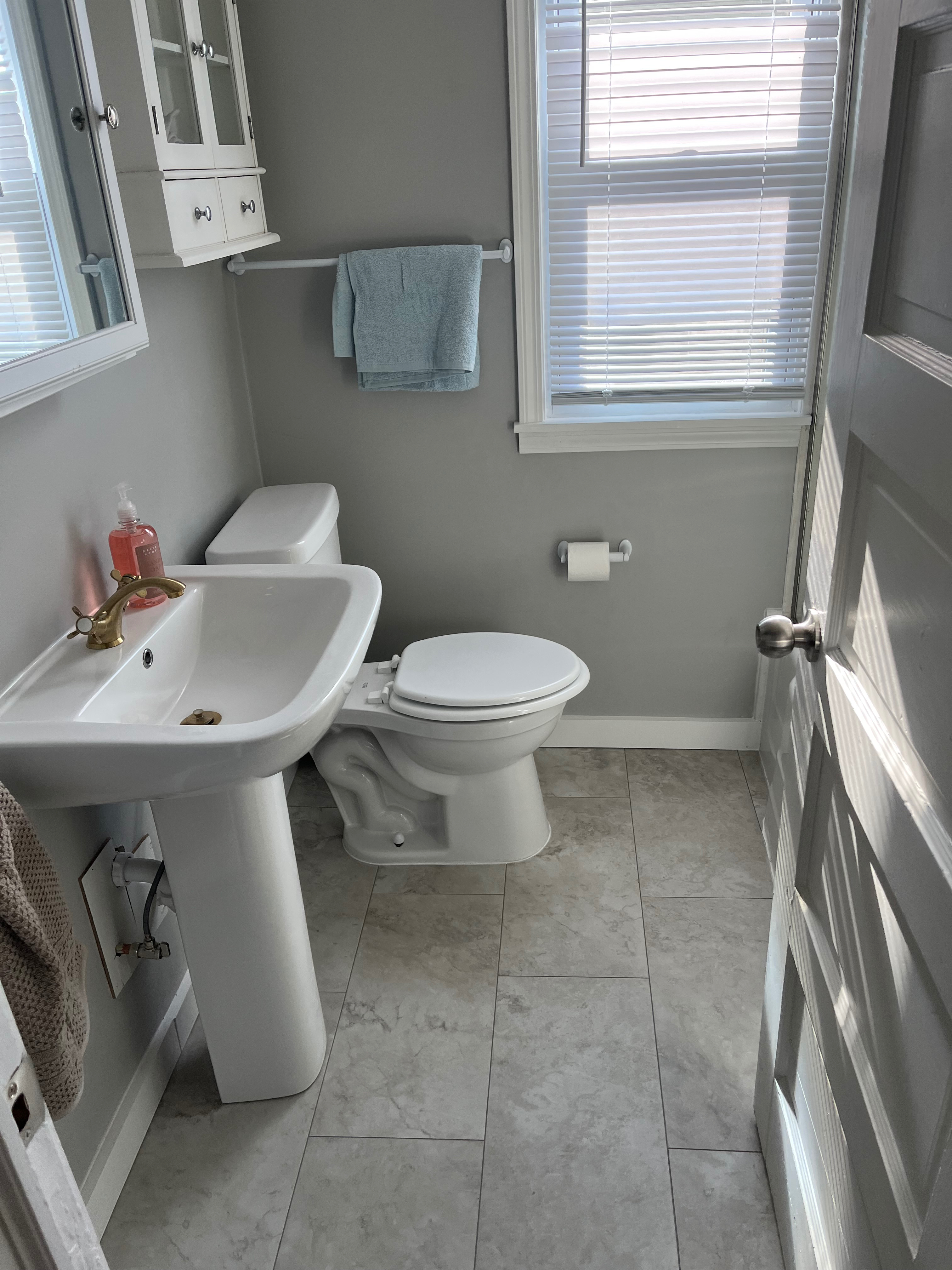 15 Dismonda - Photo 5