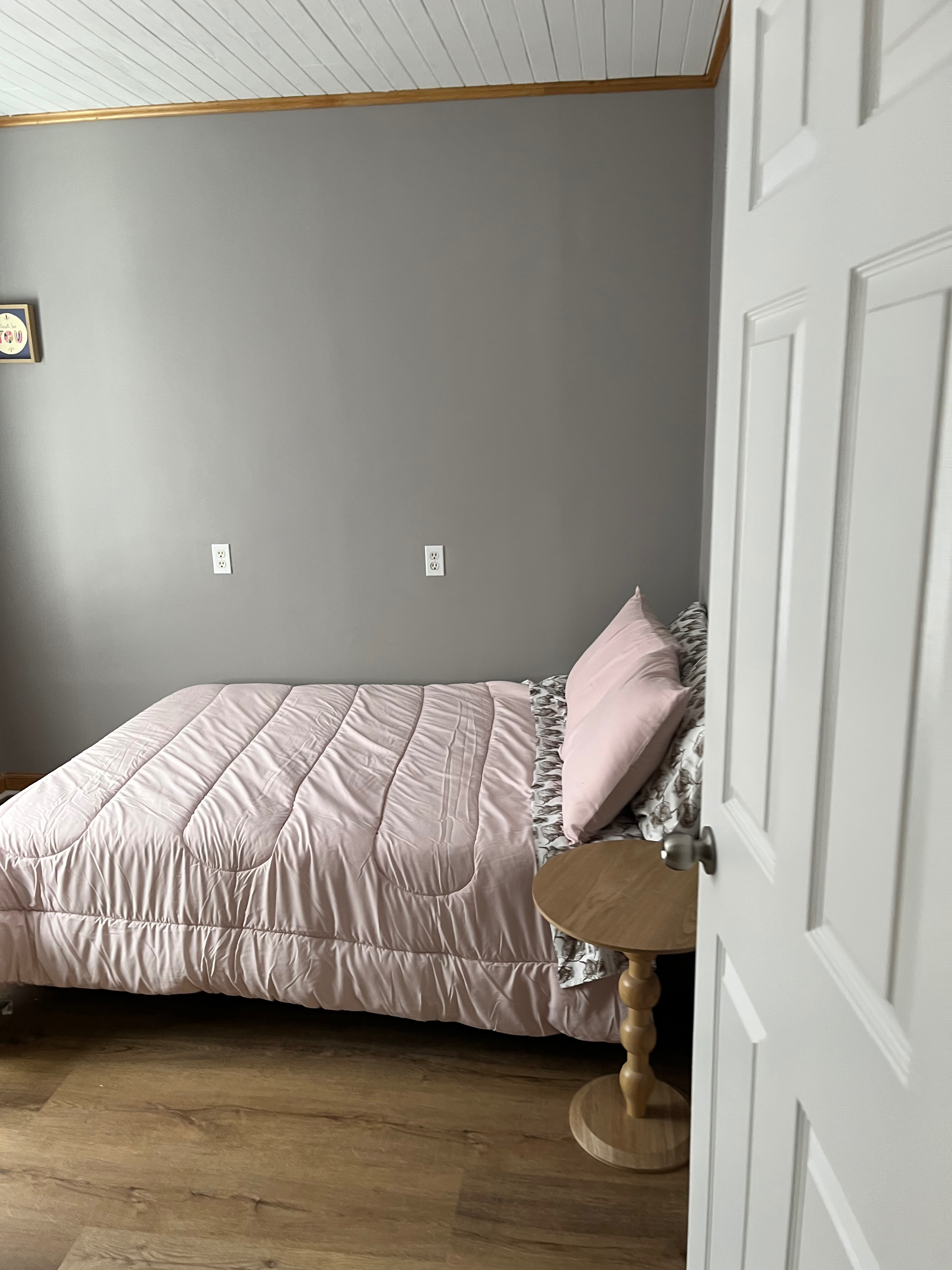 15 Dismonda - Photo 6