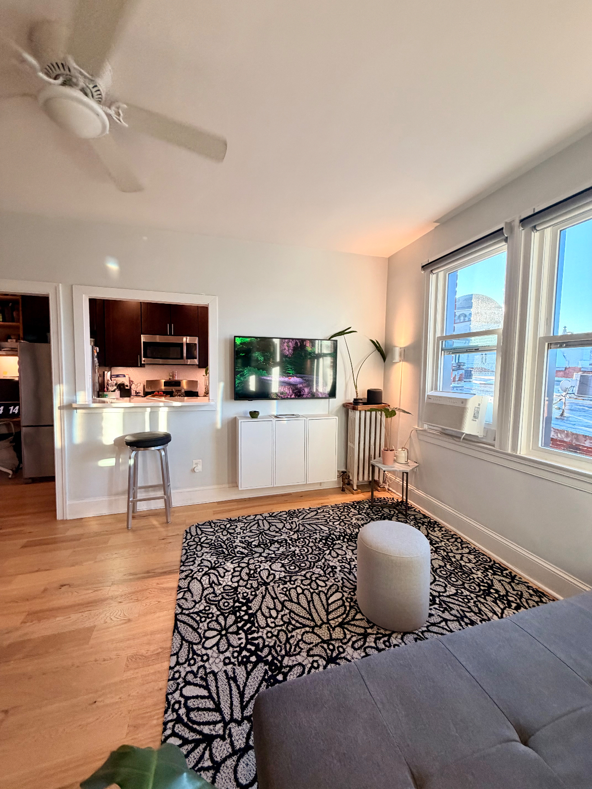 Bright and Charming Studio in Columbia Heights - Photo 2