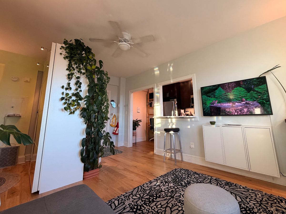 Bright and Charming Studio in Columbia Heights - Photo 4
