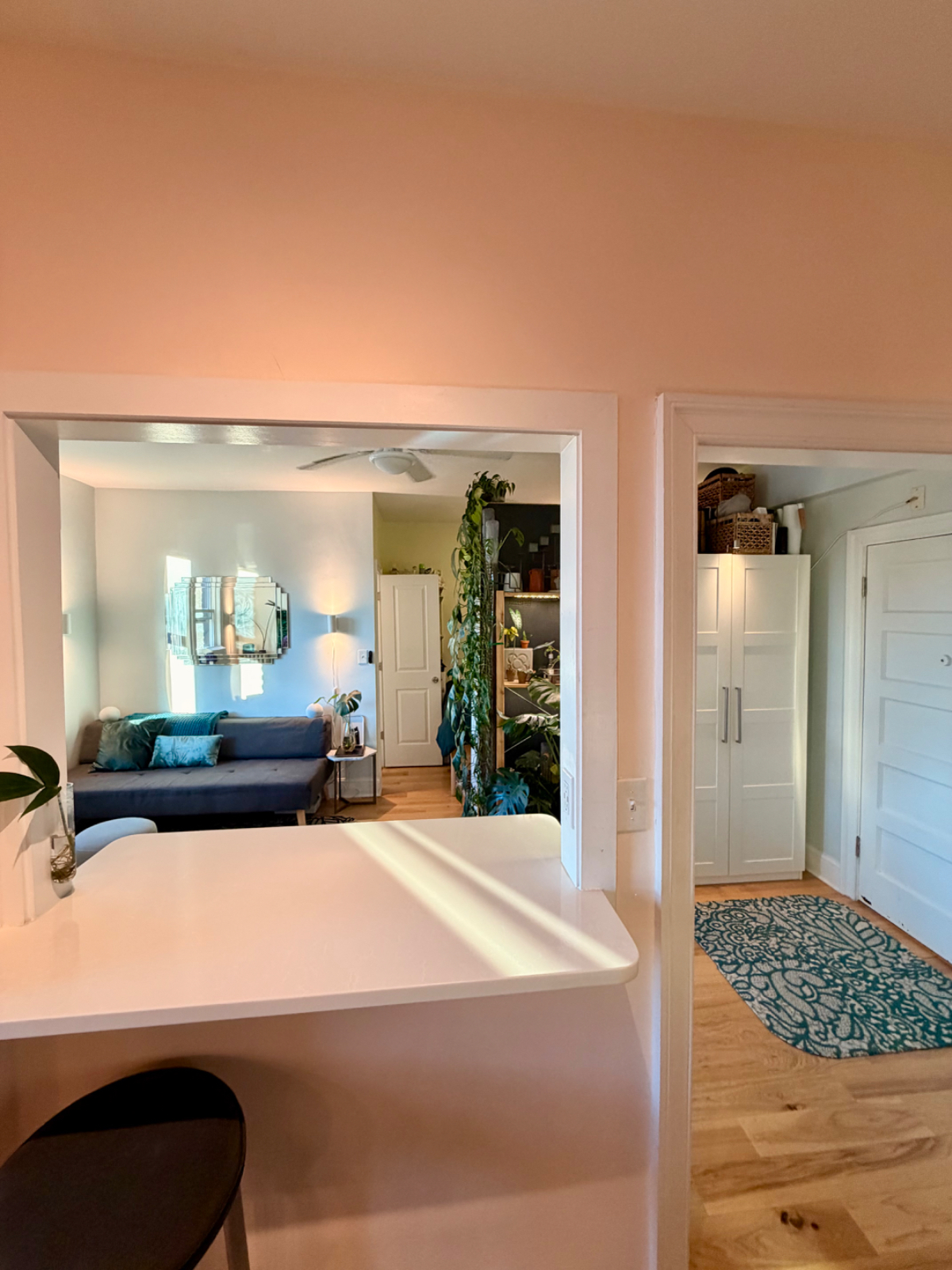 Bright and Charming Studio in Columbia Heights - Photo 9