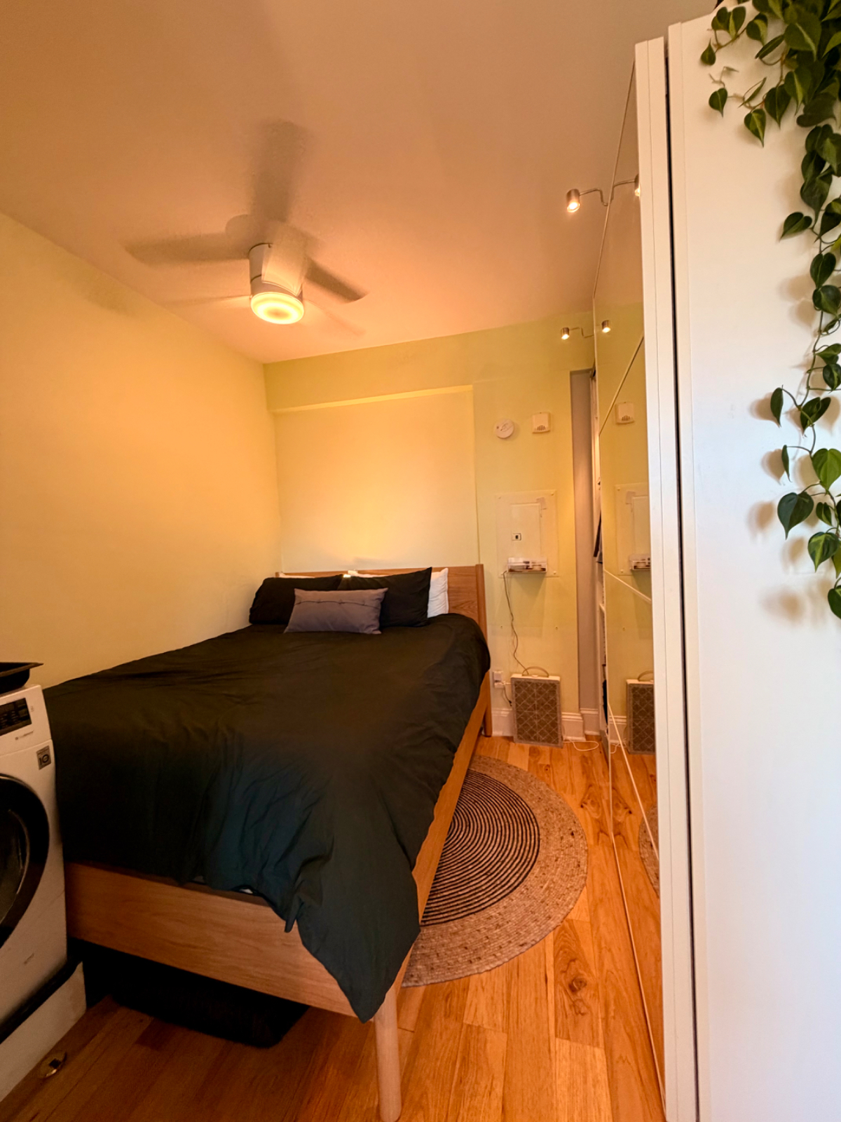 Bright and Charming Studio in Columbia Heights - Photo 7