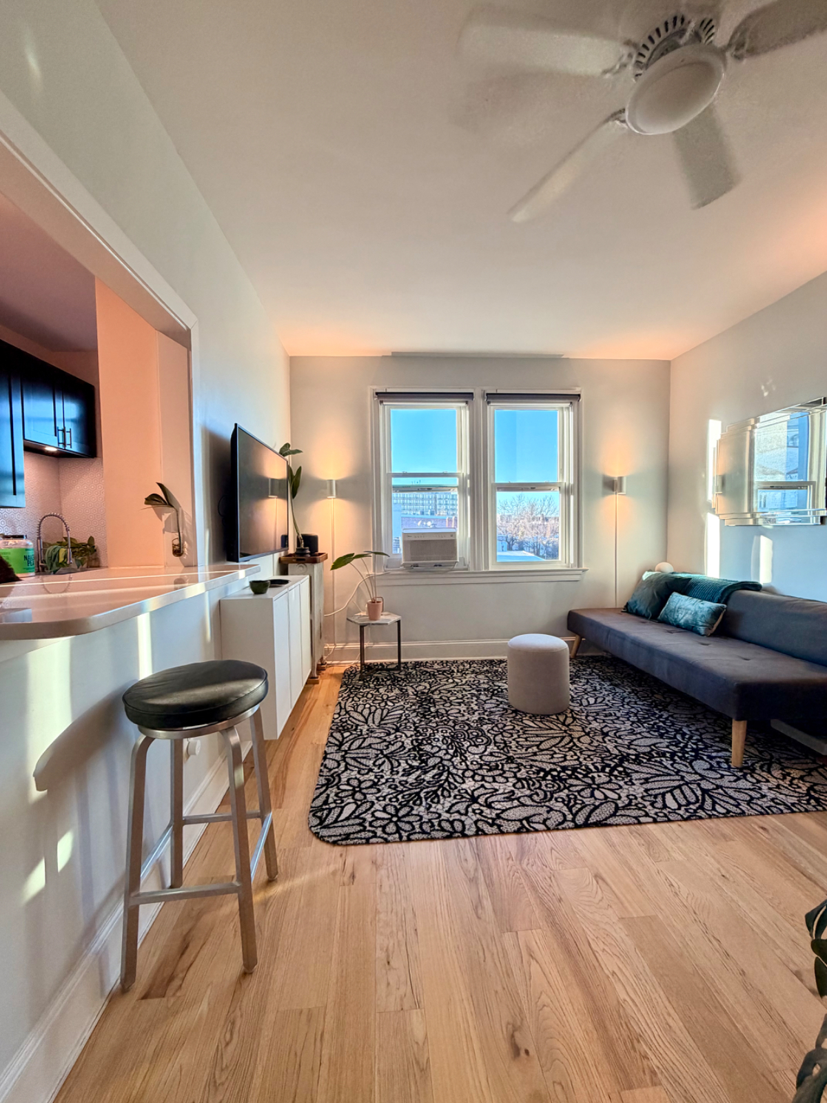 Bright and Charming Studio in Columbia Heights - Photo 1