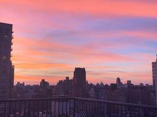 Bright Furnished Upper East Side Room With Balcony Near Hospitals And Central Park - Photo 9