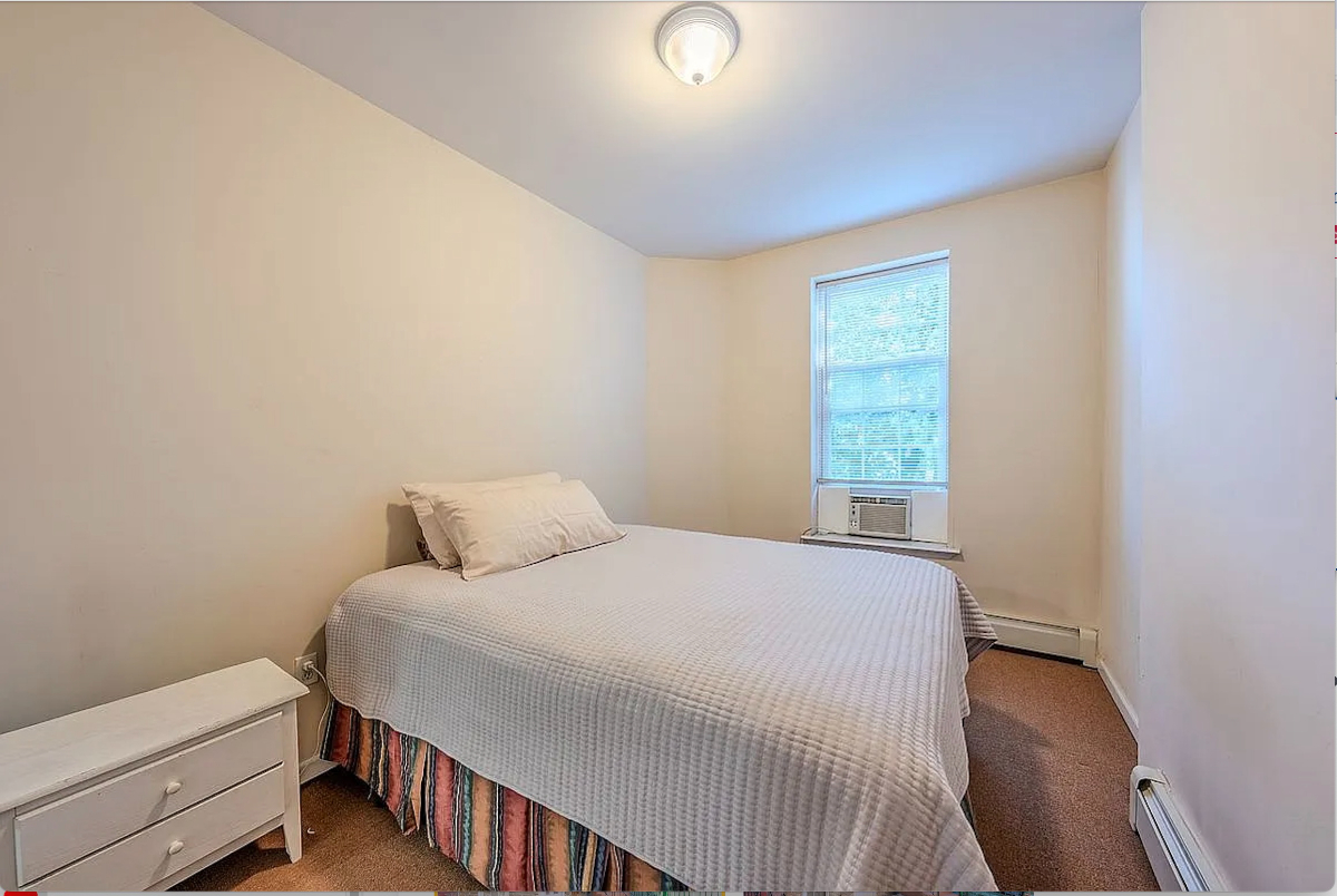 Spacious Apt Centrally Located in the Heart of East Brooklyn - Photo 3