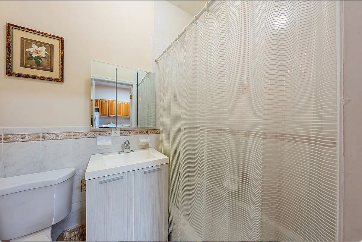 Spacious Apt Centrally Located in the Heart of East Brooklyn - Photo 9