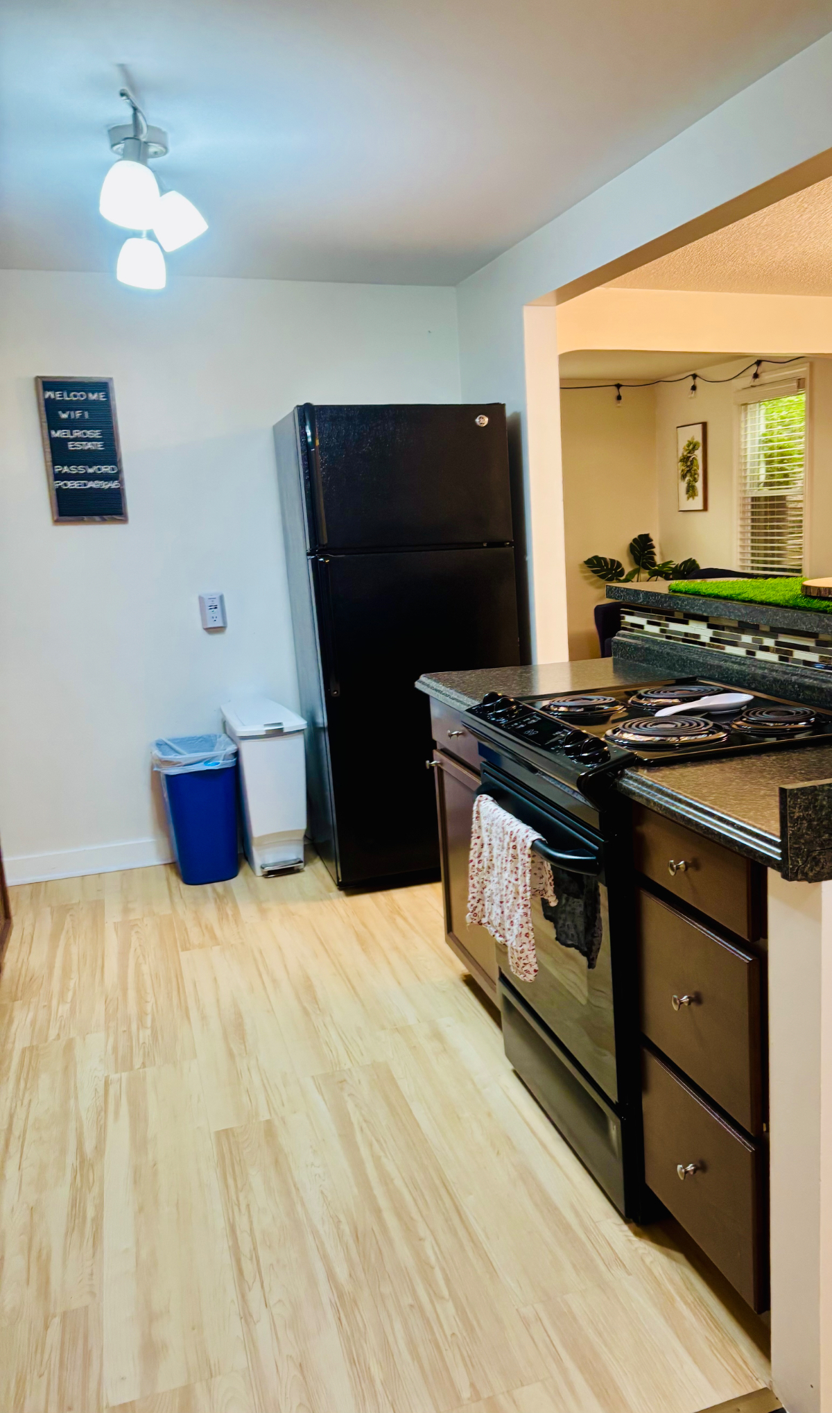 Quiet and spacious House - Photo 4