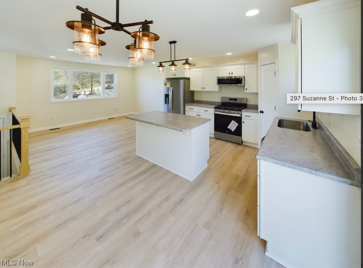 297 Suzanne St. - Photo 3