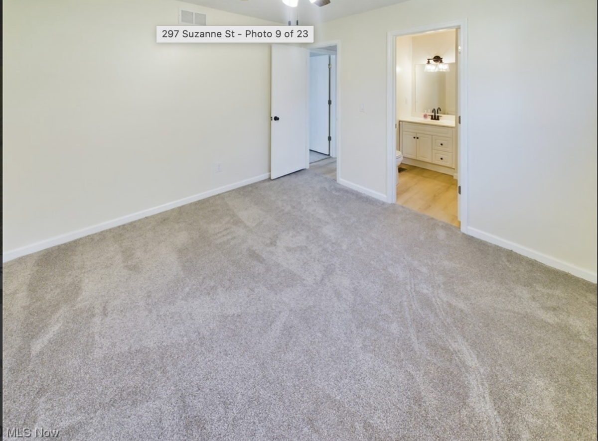 297 Suzanne St. - Photo 9