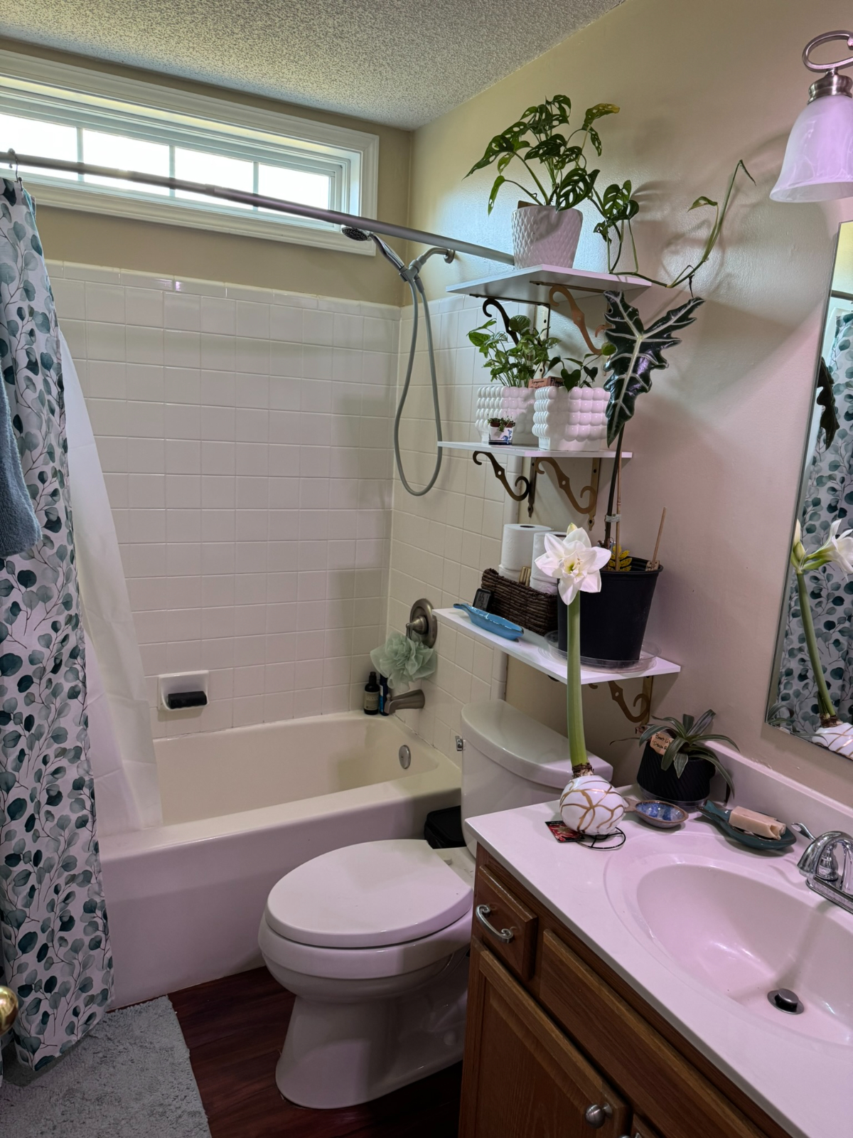 Room in Shared Home - 25mins to Dowtown Asheville - Photo 8