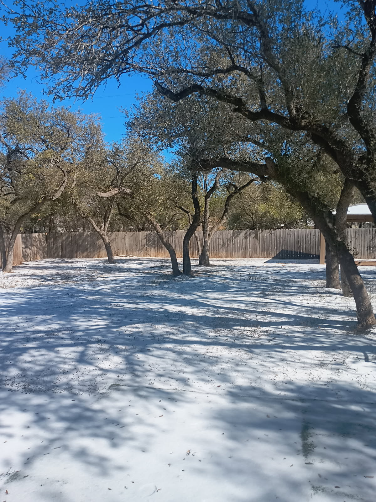 Renovated Single-Story Home with Furnished Bedrooms, Outdoor Entertaining Space, and Easy Light Rail - Photo 10
