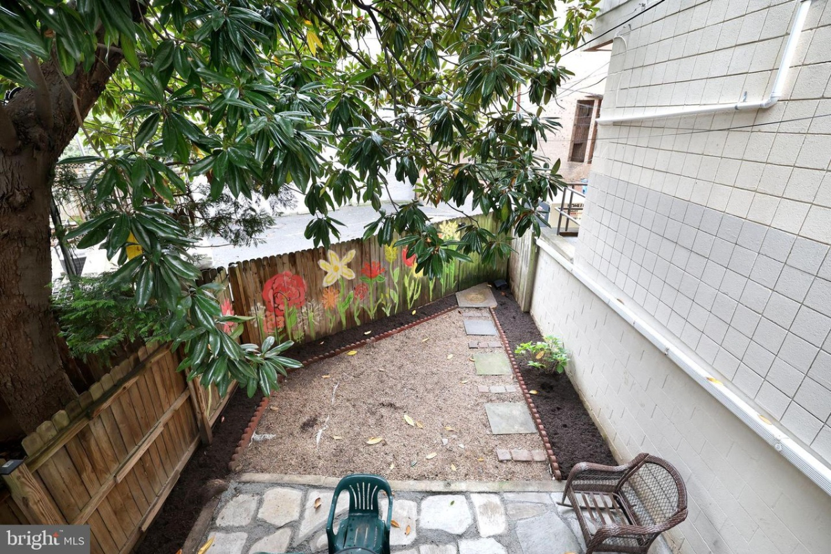 Walking Paradise in the  heart of DC - Photo 9