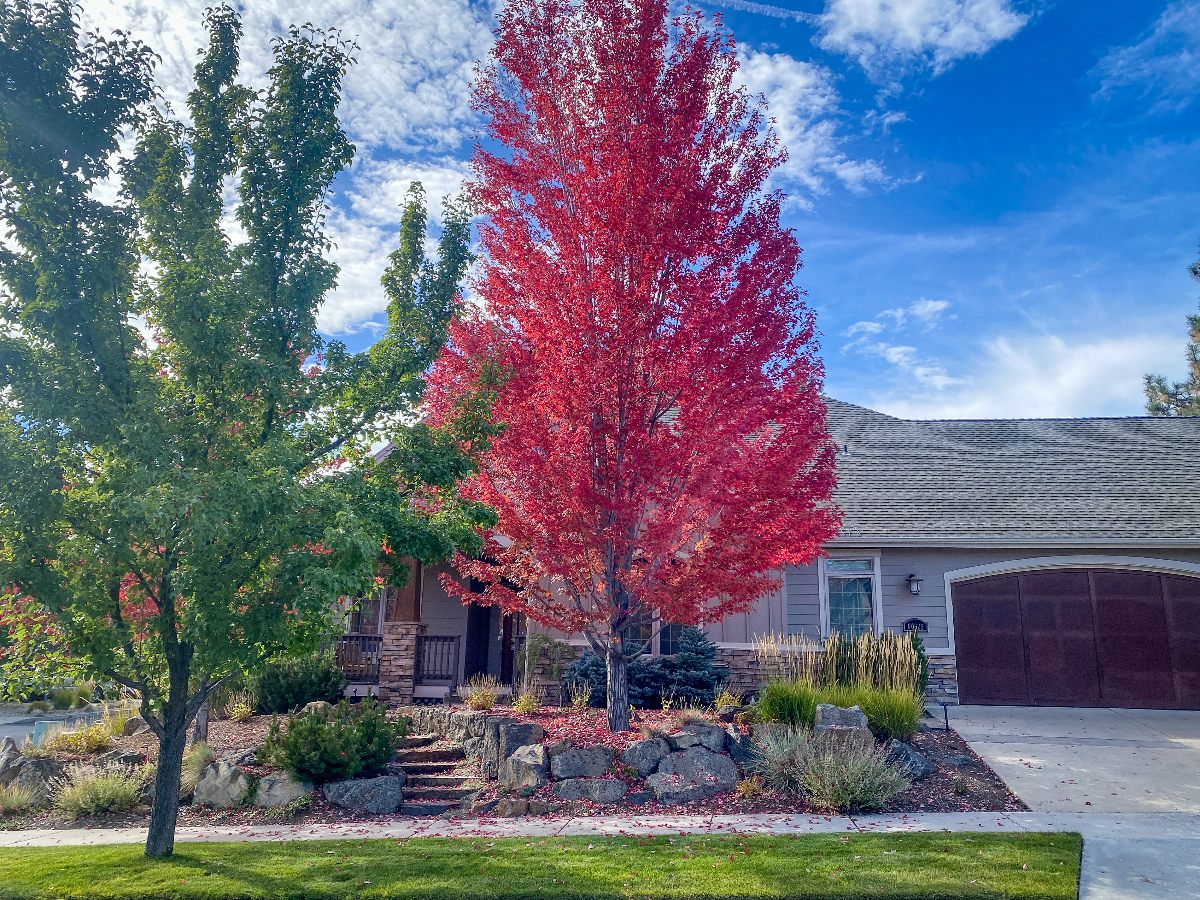 Beautiful quiet neighborhood. 1 bed, 1 ba, RECLINERS, clean & comfortable. - Photo 1