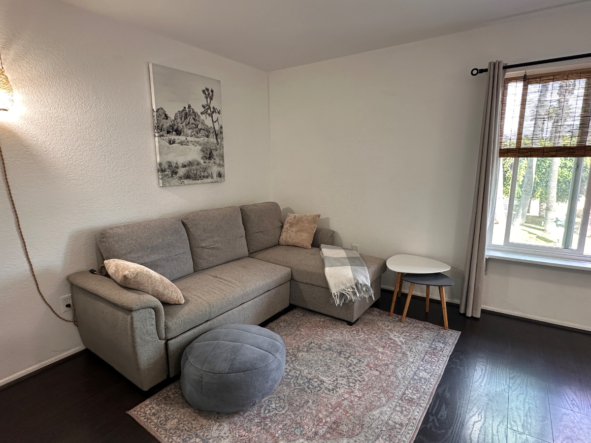 Spacious Airy Comfy 1BR Condo, Centrally Located, Quick access to 94&805 - Photo 3