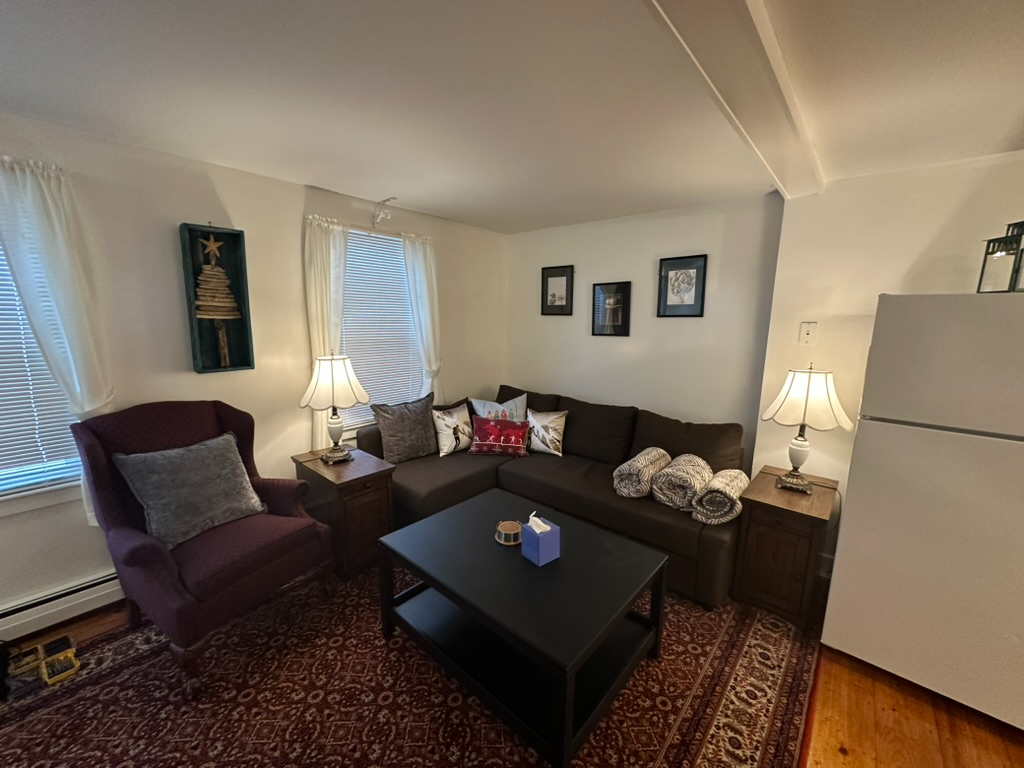 Cozy Fully Furnished 1BR in Ludlow Village Downtown - Photo 1