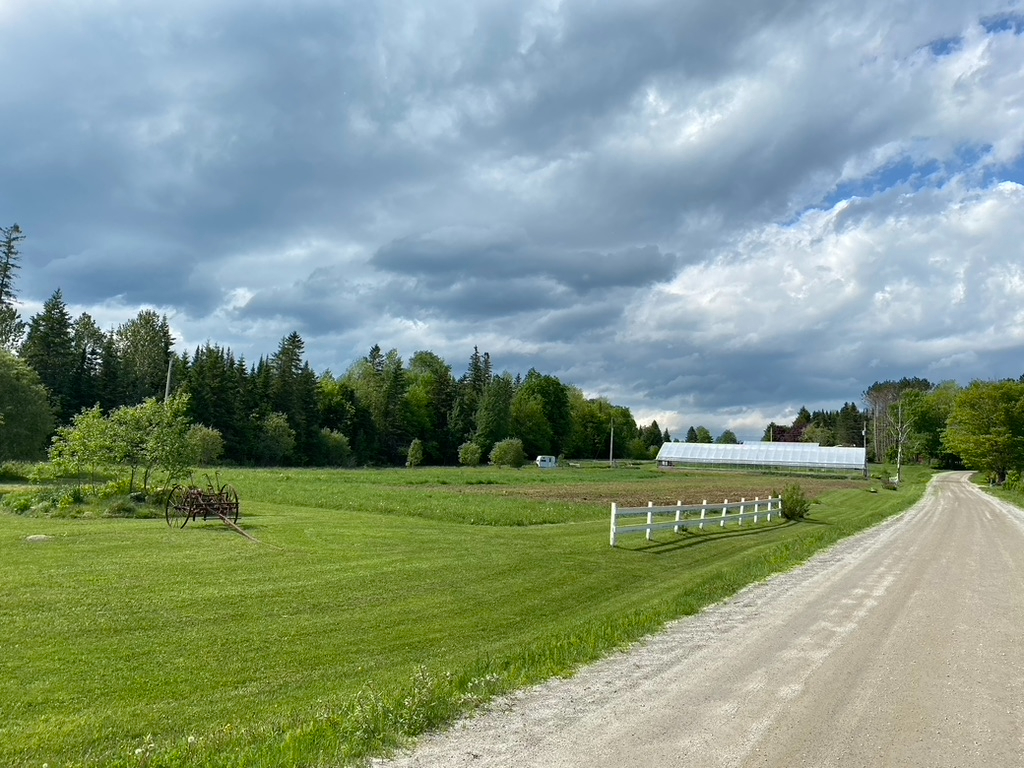 Peaceful 2 Bedroom in Cabot - Photo 3