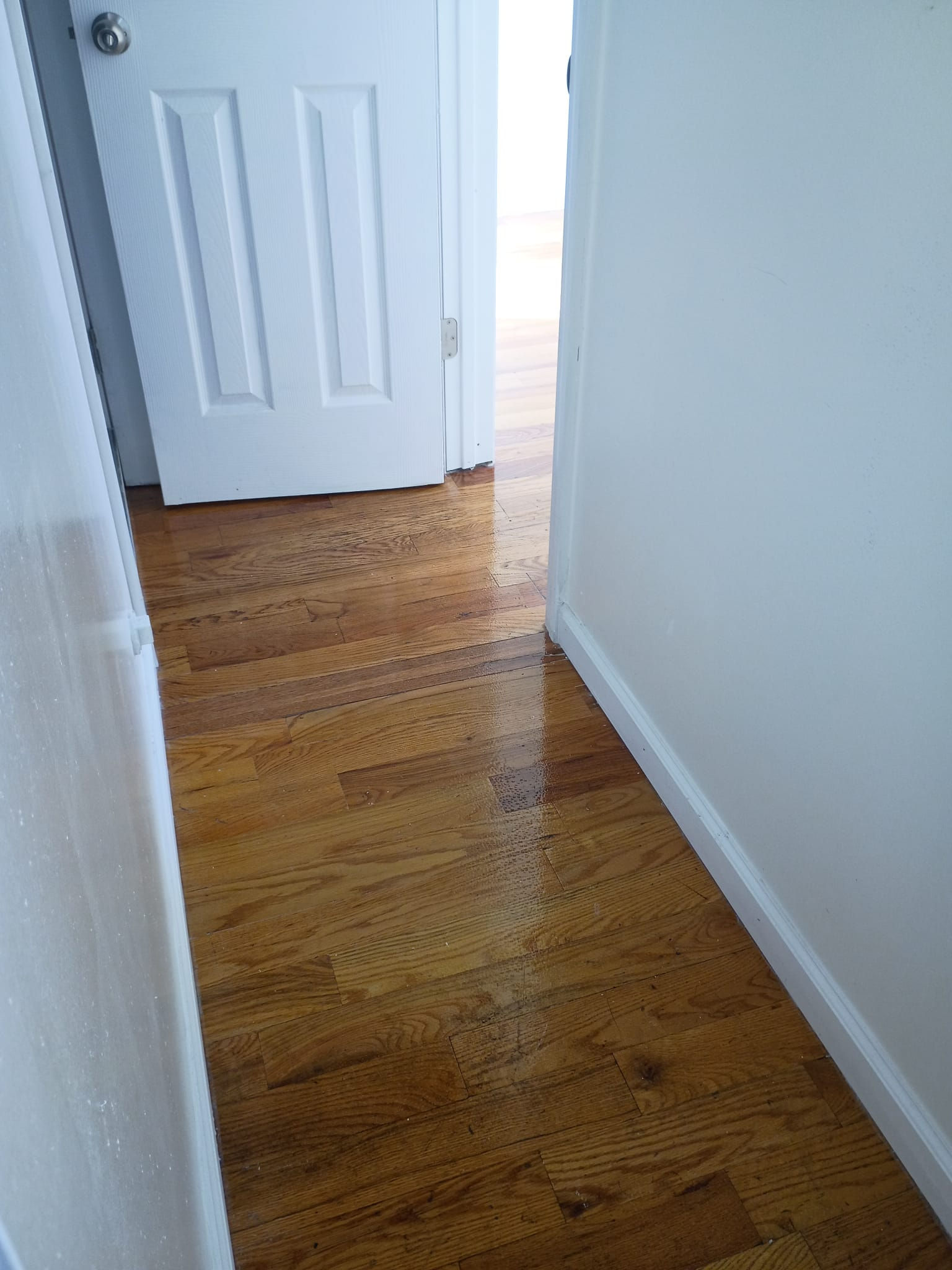 Private Studio w/ Utilities Cable/WiFi Included - Photo 6