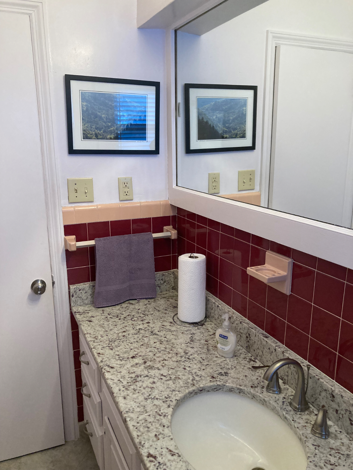 Private Bath and Bedroom in beautiful single story home. One tenant shares house with homeowner. - Photo 6