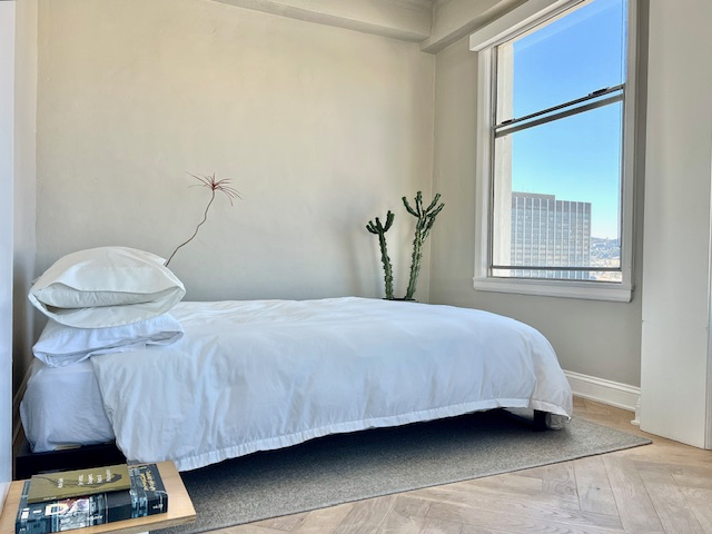 Sunny Urban Luxury Studio with View - Downtown San Francsico - Photo 4