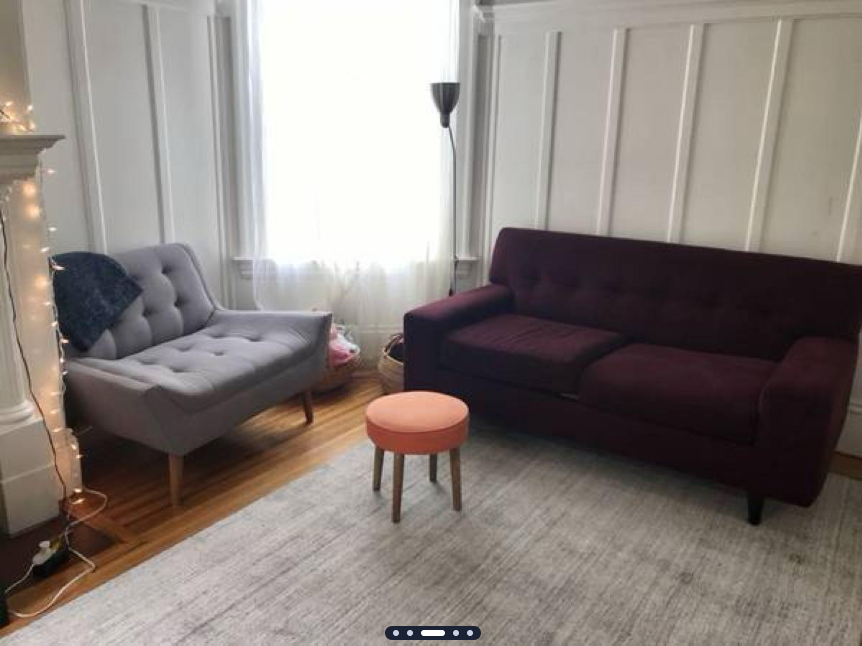 Sunny, Furnished Room in Charming Mission Victorian Apt - Available February 1st - Photo 4
