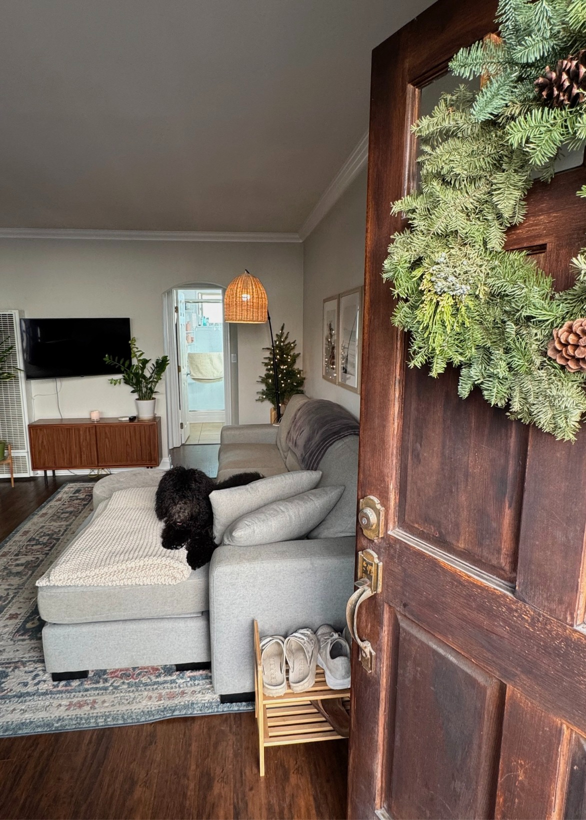 Cozy & Tranquil 1BR in Pacific Beach - Photo 2