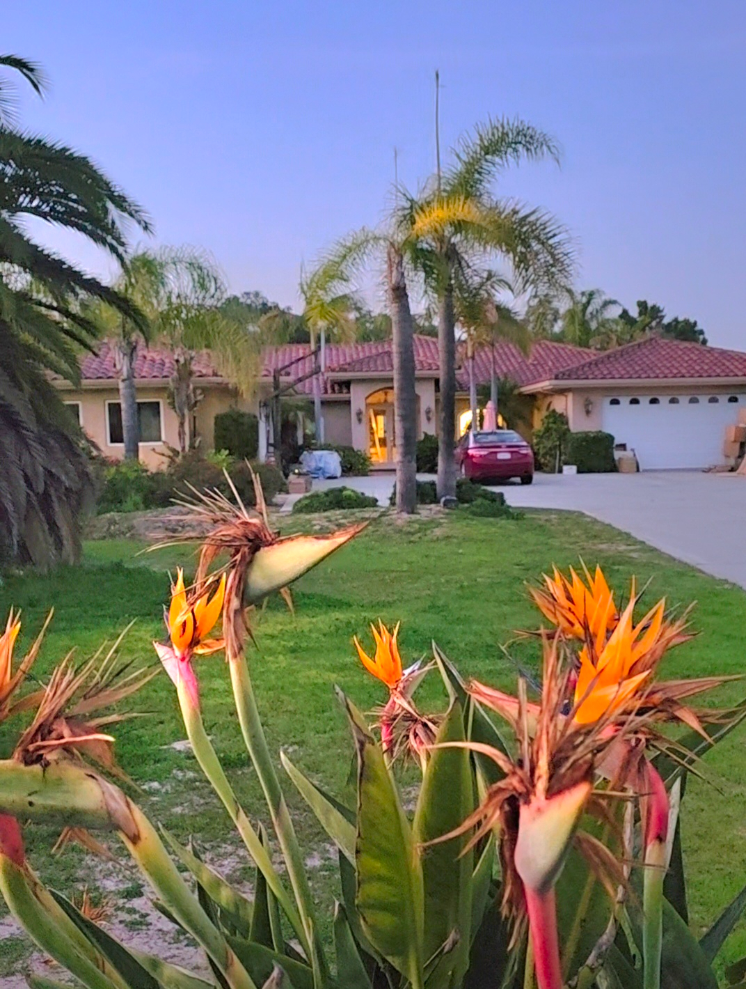 Golden Hour Haven- a Premier Gated Tropical Oasis / 1 mile to Tri-City/ Private entry/Ultra Quiet for night/long shifts - Photo 4