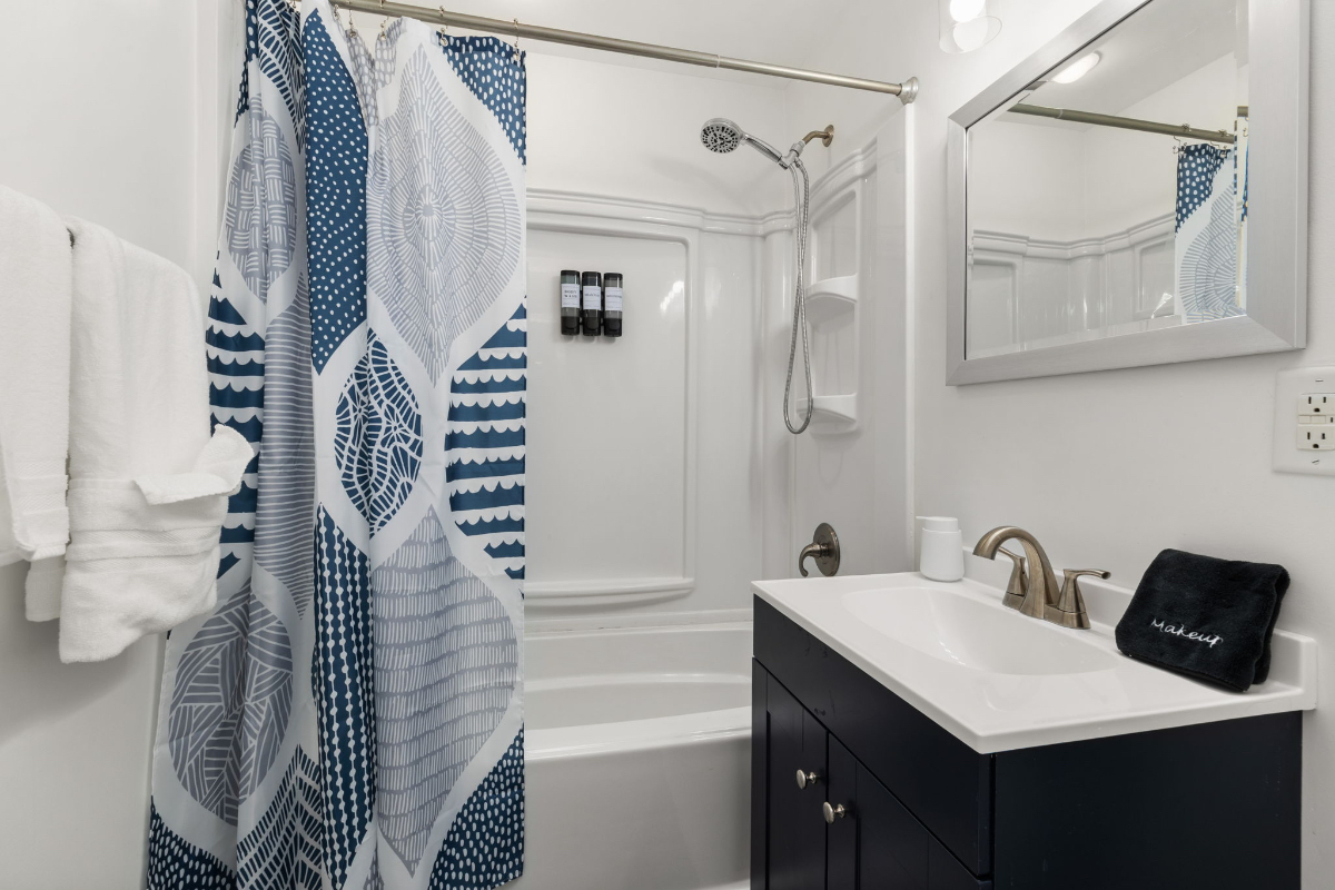 Downtown Raleigh Basement Suite - Photo 5