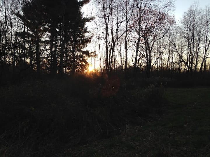 Forest Moon Cottage - Photo 2